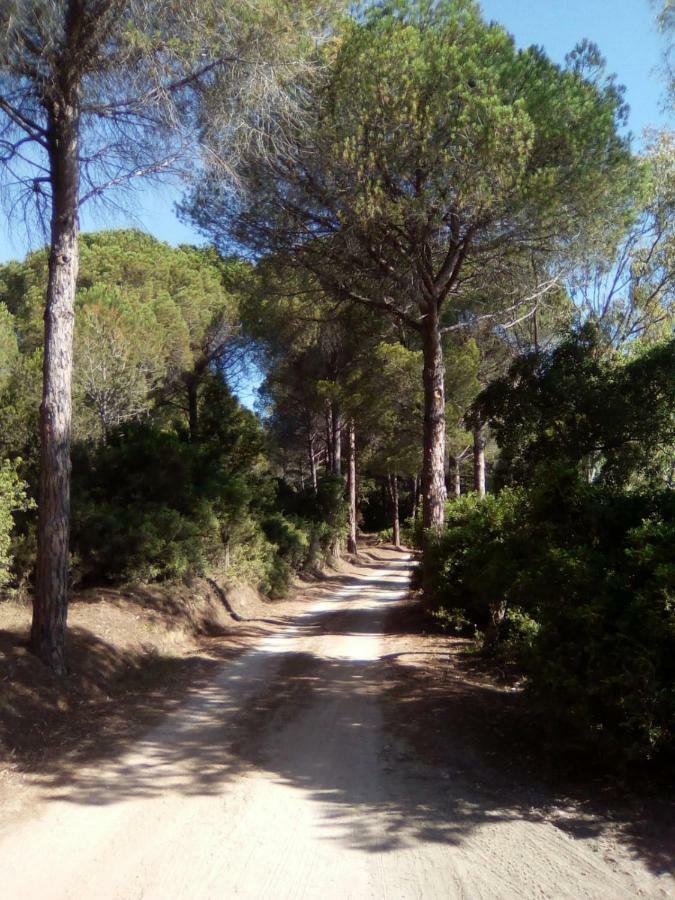 Appartamento Vacanze Sardegna Siniscola Extérieur photo