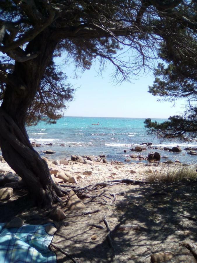 Appartamento Vacanze Sardegna Siniscola Extérieur photo